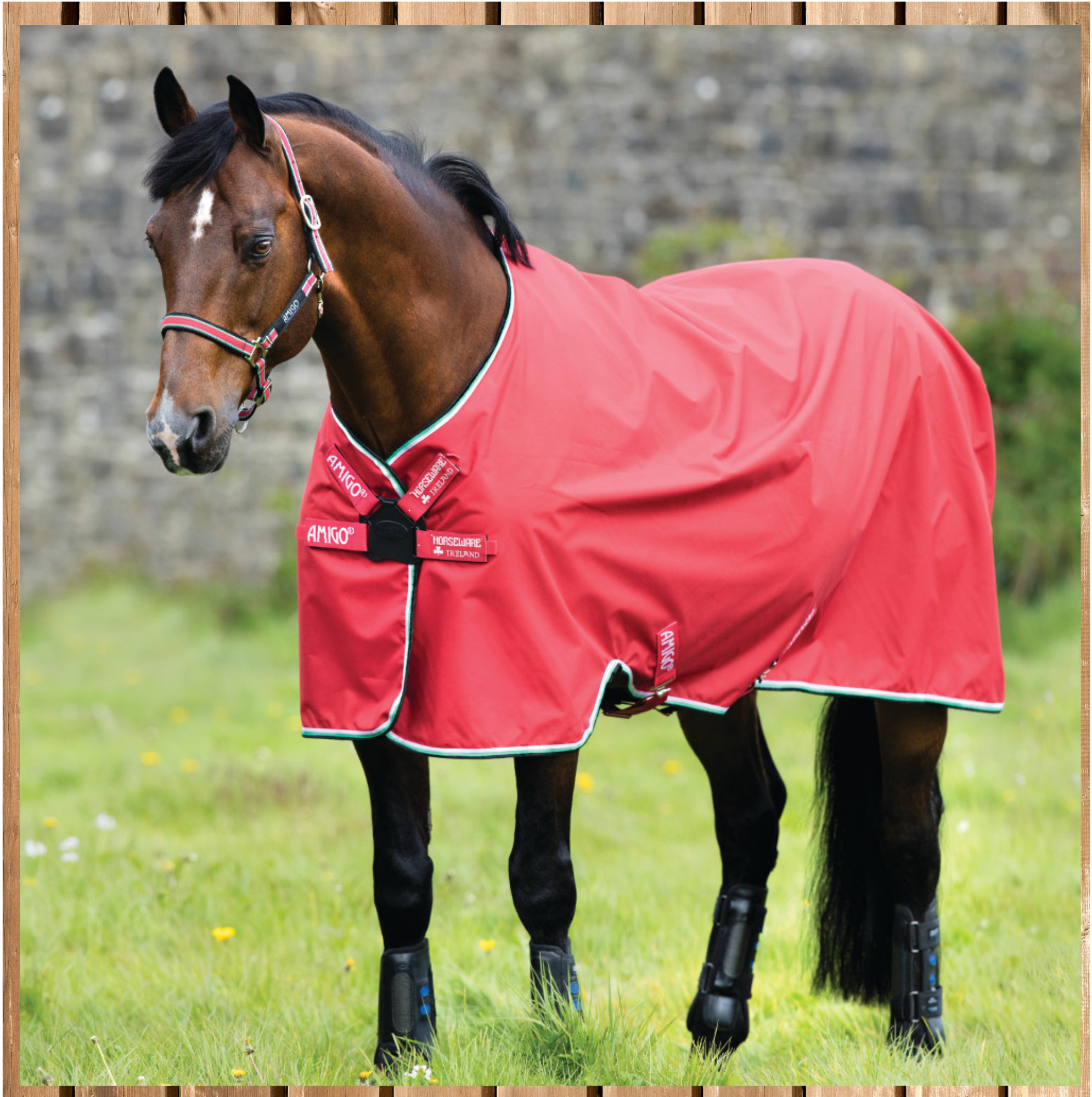 Horseware Amigo Hero lite 0g, Disc Front, red/white